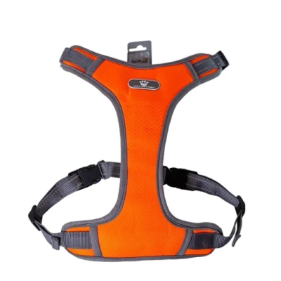 Шлея AnimAll HL-8005-1 для собак, помаранчева, S