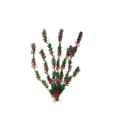 Рослина акваріумна Amtra Flora classic Lg штучна, для акваріумів