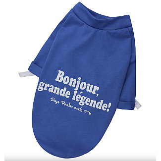 Dogs Bomba Футболка Bonjour синя, А 29-32, В 33-41