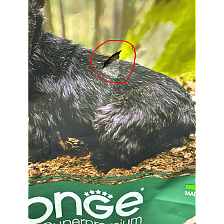 Monge (Монж) BWild Grain Free Duck Adult Mini - Беззерновий корм з качкою для дорослих собак дрібних порід, 2.5 кг