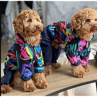 Дощовик Dogs Bomba графіті, 7