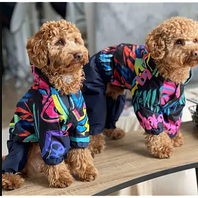 Дощовик Dogs Bomba графіті
