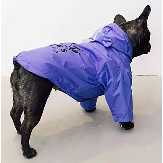 Дощовик парка DB Dogs Bomba фіолет синiй, 2