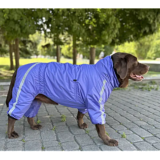 Дощовик Спорт на флiсi Dogs Bomba фіолетовий, 12