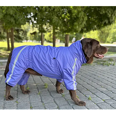 Дощовик Спорт на флiсi Dogs Bomba фіолетовий