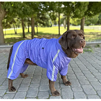 Дощовик Спорт на флiсi Dogs Bomba фіолетовий, 12