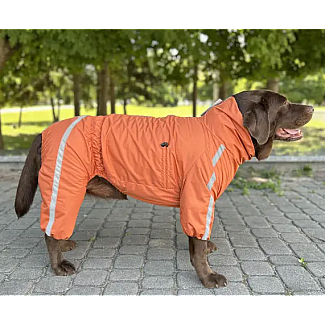 Дощовик Спорт на флiсi Dogs Bomba помаранчевий, 11
