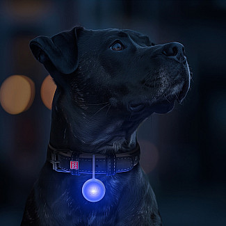 Фонарик для собак и кошек WAUDOG LED, в светящемся силиконовом чехле USB, Д 37 мм