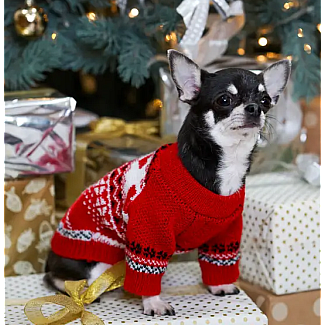 Светр в'язаний Dogs Bomba New Year червоний, 4