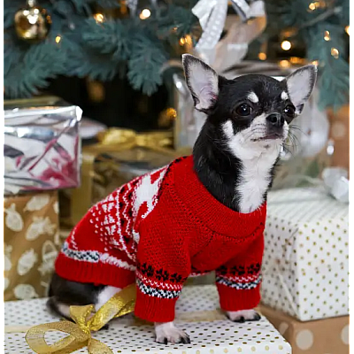 Светр в'язаний Dogs Bomba New Year червоний