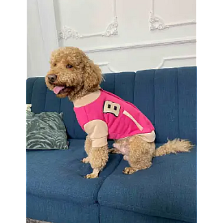 Бомбер Dogs Bomba малина беж, 6