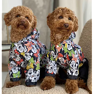 Дощовик Dogs Bomba Міккі, 6