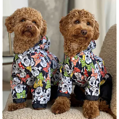 Дощовик Dogs Bomba Міккі