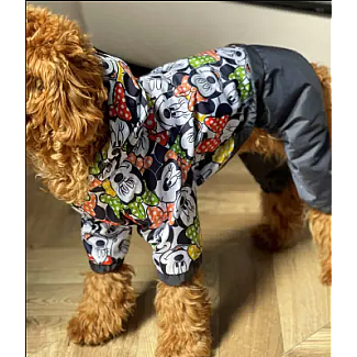 Дощовик Dogs Bomba Міккі, 6
