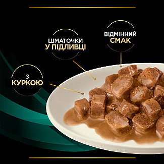 Вологий дієтичний корм PRO PLAN VETERINARY DIETS EN Gastrointestinal для кошенят та дорослих котів  для зменшення розладів кишкової абсорбції та годівлі у період відновлення, одужання, з куркою, 10х85 г
