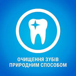 Лакомство DENTALIFE Small для взрослых собак мелких пород, для здоровья зубов и десен, 115 г