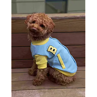 Бомбер Dogs Bomba блакитно-жовтий, 6
