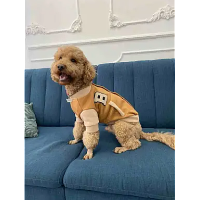 Бомбер Dogs Bomba кориця беж