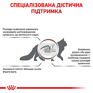 Лікувальний корм для котів Royal Canin Gastrointestinal Feline  при порушені травлення, 2 кг