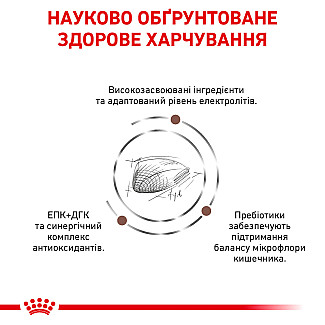 Лікувальний корм для котів Royal Canin Gastrointestinal Feline  при порушені травлення, 2 кг