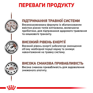 Лікувальний корм для котів Royal Canin Gastrointestinal Feline  при порушені травлення, 2 кг