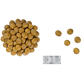 Royal Canin RENAL FELINE сухой корм для кошек имеющих почечную  недостаточность, 2 кг