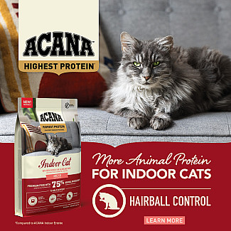Сухий повнораціонний сухий корм для дорослих  домашніх котів ACANA Highest Protein Indoor Cat Recipe з курятиною, 4.5 кг