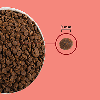 Сухий повнораціонний сухий корм для дорослих  домашніх котів ACANA Highest Protein Indoor Cat Recipe з курятиною, 4.5 кг