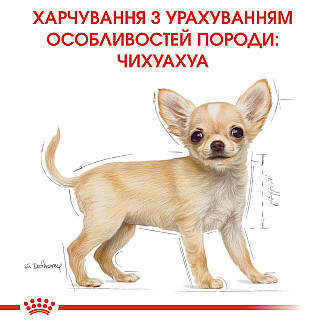 Royal Canin Chihuahua Adult (Роял Канин Чихуахуа Эдалт) сухой корм для взрослых собак породы чихуахуа от 8 месяцев, 3 кг