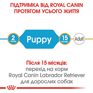 Royal Canin LABRADOR RETRIEVER Puppy сухой корм для щенков породы лабрадор ретривер от 2-х до 15 месяцев, 12 кг