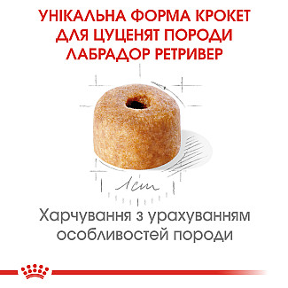 Royal Canin LABRADOR RETRIEVER Puppy сухой корм для щенков породы лабрадор ретривер от 2-х до 15 месяцев, 12 кг