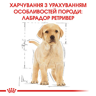 Royal Canin LABRADOR RETRIEVER Puppy сухой корм для щенков породы лабрадор ретривер от 2-х до 15 месяцев, 12 кг