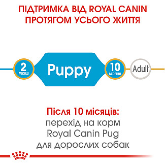 Royal Canin PUG Puppy сухой корм для щенков породы мопс до 10 месяцев, 1.5 кг