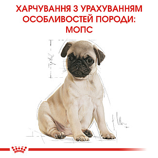 Royal Canin PUG Puppy сухой корм для щенков породы мопс до 10 месяцев, 1.5 кг