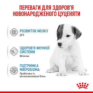 Замінник молока для цуценят від народження Royal Canin Babydog Milk, 2 кг