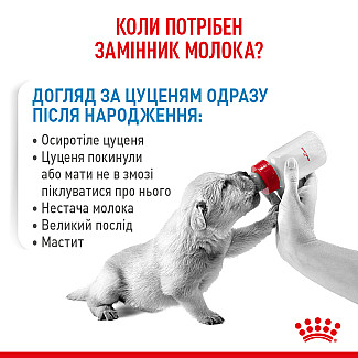 Замінник молока для цуценят від народження Royal Canin Babydog Milk, 2 кг