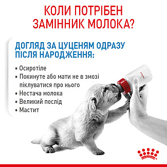 Замінник молока для цуценят від народження Royal Canin Babydog Milk, 400 г