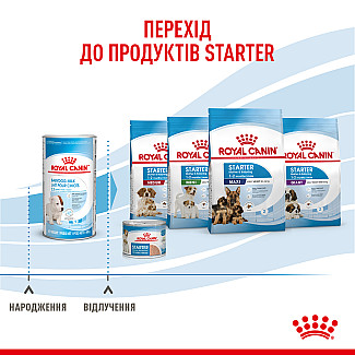 Замінник молока для цуценят від народження Royal Canin Babydog Milk, 2 кг