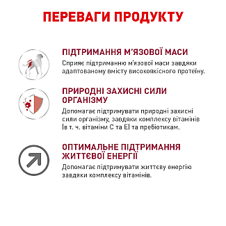 Сухий корм для собак Royal Canin Medium Adult 7+ середніх порід старше 7 років, 15 кг
