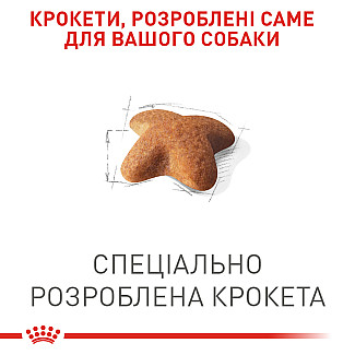 Сухий корм для дорослих собак породи Бігль Royal Canin Beagle, 3 кг