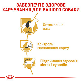 Сухий корм для дорослих собак породи Бігль Royal Canin Beagle, 3 кг
