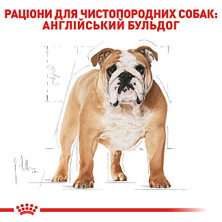 Royal Canin Bulldog Adult (Роля Канин Больдог Эдалт) сухой  корм для взрослых собак породы английский бульдог от 12 месяцев, 12 кг