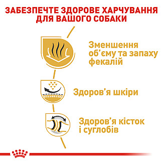 Royal Canin Bulldog Adult (Роля Канин Больдог Эдалт) сухой  корм для взрослых собак породы английский бульдог от 12 месяцев, 12 кг