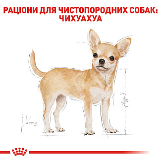 Royal Canin Chihuahua Adult (Роял Канин Чихуахуа Эдалт) сухой корм для взрослых собак породы чихуахуа от 8 месяцев, 500 гр