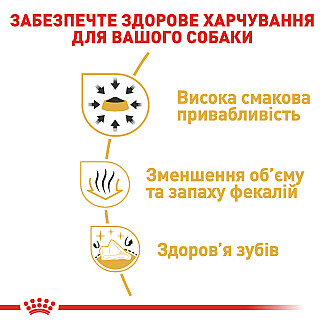 Royal Canin Chihuahua Adult (Роял Канин Чихуахуа Эдалт) сухой корм для взрослых собак породы чихуахуа от 8 месяцев, 500 гр