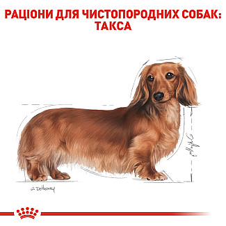 Royal Canin Dachshund Adult сухой корм для взрослых собак породы такса от 10 месяцев, 1.5 кг