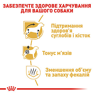 Royal Canin Dachshund Adult сухой корм для взрослых собак породы такса от 10 месяцев, 1.5 кг