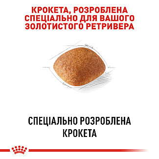 Royal Canin GOLDEN RETRIEVER ADULT сухой  корм для взрослых собак породы голден ретривер от 15 месяцев, 12 кг