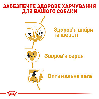Royal Canin GOLDEN RETRIEVER ADULT сухой  корм для взрослых собак породы голден ретривер от 15 месяцев, 12 кг