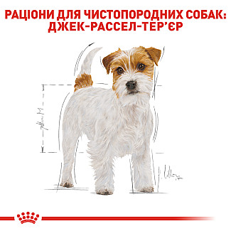 Royal Canin Jack Russell Terrier Adult сухой корм для взрослых собак породы джек-рассел-терьер от 10 месяцев, 1.5 кг